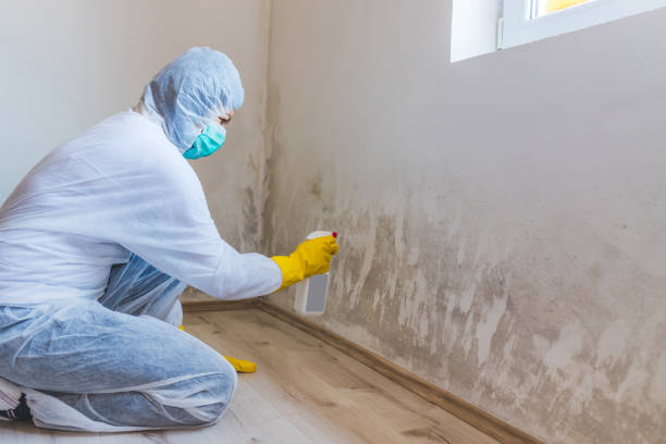 Licensed Mold Remediation service in Bennett, NC - 24 Hour Mold Removal