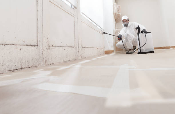 24/7 Emergency Mold Remediation experts in Bennett, NC