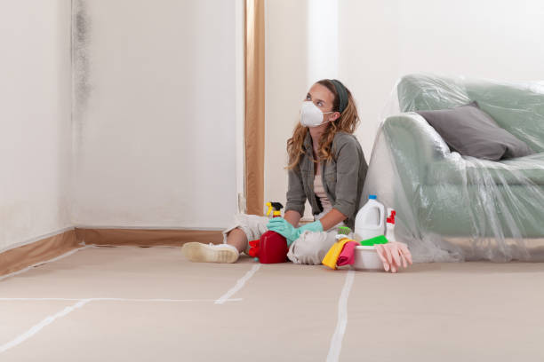 Reliable Mold Remediation contractor in Bennett, NC by 24 Hour Mold Removal